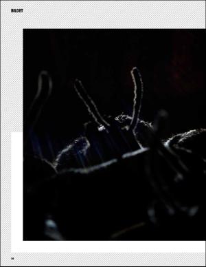 aftenbladet_pluss-20151114_000_00_00_028.pdf