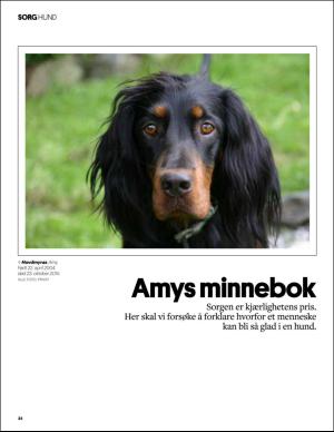 aftenbladet_pluss-20151121_000_00_00_034.pdf