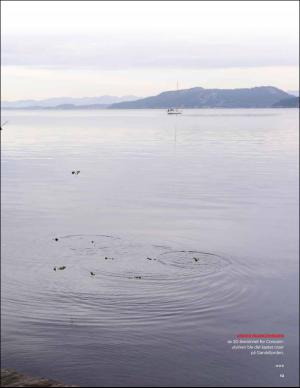 aftenbladet_pluss-20151205_000_00_00_013.pdf