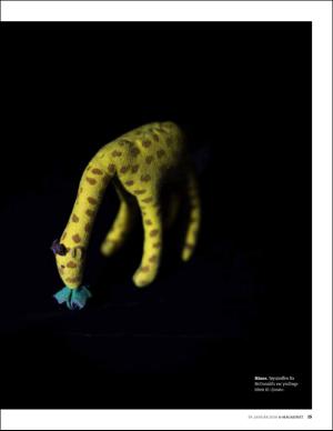 aftenbladet_pluss-20160129_000_00_00_015.pdf