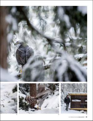 aftenbladet_pluss-20160212_000_00_00_049.pdf