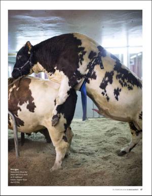 aftenbladet_pluss-20160219_000_00_00_017.pdf