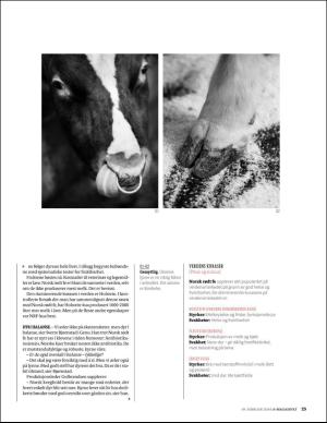 aftenbladet_pluss-20160219_000_00_00_023.pdf