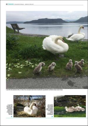 aftenbladet_pluss-20170422_000_00_00_020.pdf