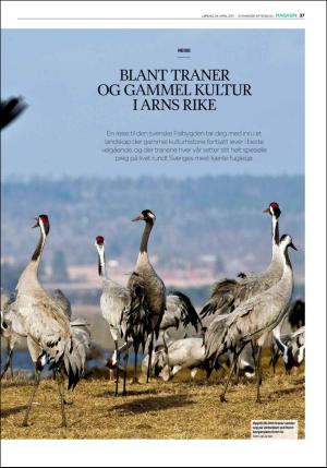 aftenbladet_pluss-20170429_000_00_00_037.pdf