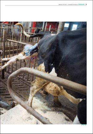 aftenbladet_pluss-20170513_000_00_00_011.pdf