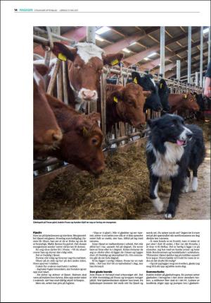 aftenbladet_pluss-20170513_000_00_00_014.pdf