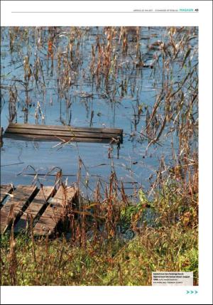 aftenbladet_pluss-20170520_000_00_00_043.pdf