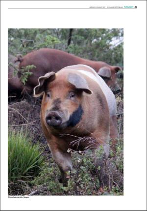 aftenbladet_pluss-20170819_000_00_00_025.pdf