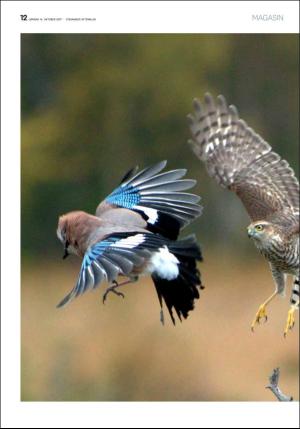 aftenbladet_pluss-20171014_000_00_00_012.pdf