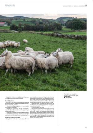 aftenbladet_pluss-20171118_000_00_00_005.pdf