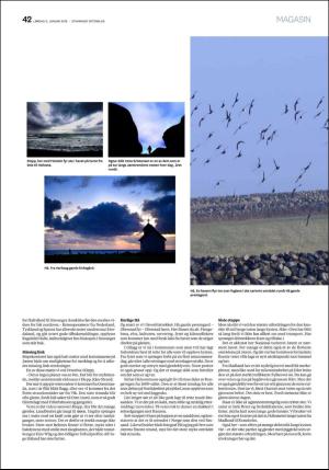 aftenbladet_pluss-20180106_000_00_00_042.pdf