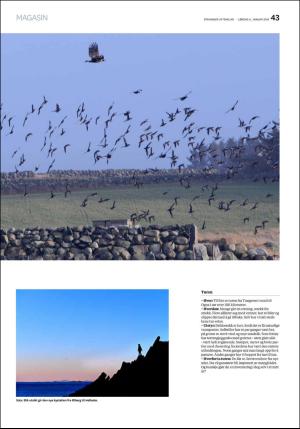 aftenbladet_pluss-20180106_000_00_00_043.pdf