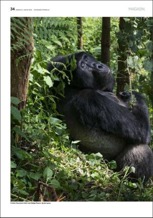 aftenbladet_pluss-20180127_000_00_00_034.pdf