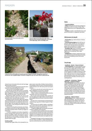 aftenbladet_pluss-20180217_000_00_00_035.pdf