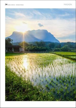 aftenbladet_pluss-20180303_000_00_00_034.pdf