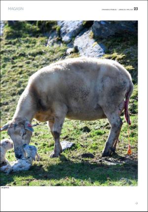 aftenbladet_pluss-20180428_000_00_00_023.pdf