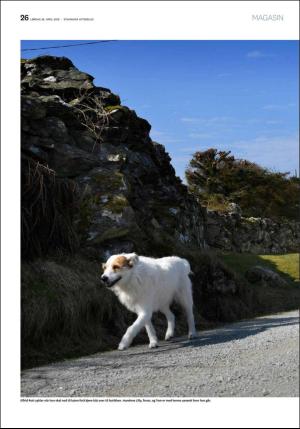 aftenbladet_pluss-20180428_000_00_00_026.pdf