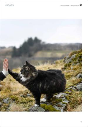 aftenbladet_pluss-20180428_000_00_00_033.pdf