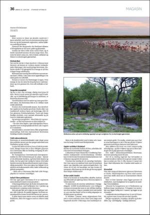 aftenbladet_pluss-20180630_000_00_00_036.pdf