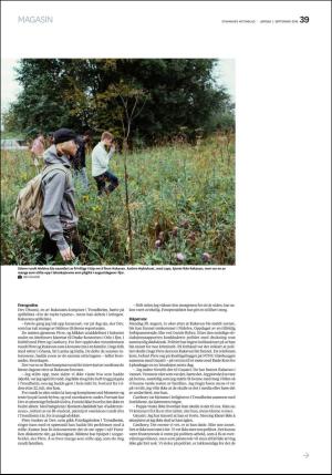 aftenbladet_pluss-20180901_000_00_00_039.pdf