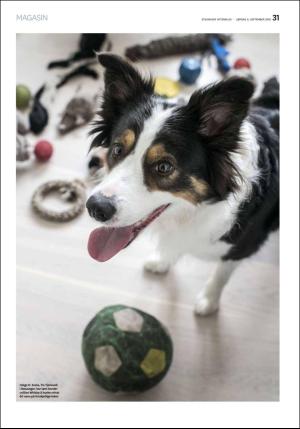 aftenbladet_pluss-20180908_000_00_00_031.pdf