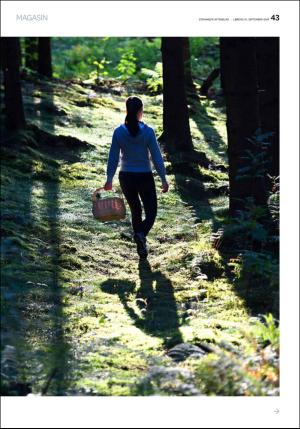 aftenbladet_pluss-20180915_000_00_00_043.pdf