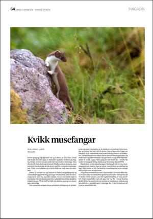 aftenbladet_pluss-20181013_000_00_00_064.pdf