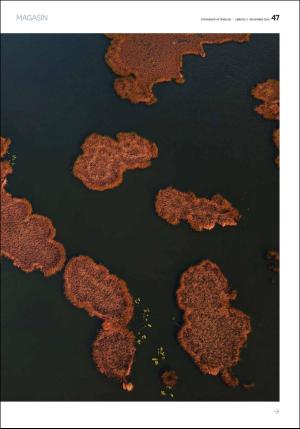 aftenbladet_pluss-20181103_000_00_00_047.pdf