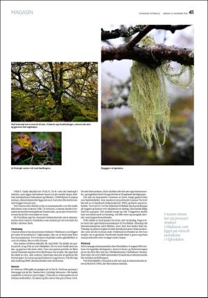 aftenbladet_pluss-20181110_000_00_00_041.pdf