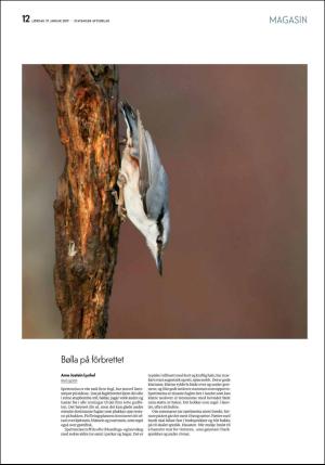 aftenbladet_pluss-20190119_000_00_00_012.pdf