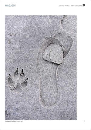 aftenbladet_pluss-20190216_000_00_00_031.pdf