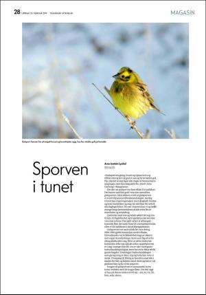 aftenbladet_pluss-20190223_000_00_00_028.pdf