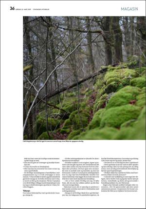 aftenbladet_pluss-20190316_000_00_00_036.pdf