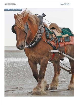 aftenbladet_pluss-20190323_000_00_00_050.pdf