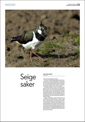 aftenbladet_pluss-20190413_000_00_00_023.pdf