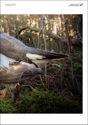 aftenbladet_pluss-20190413_000_00_00_047.pdf