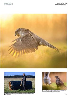 aftenbladet_pluss-20190413_000_00_00_049.pdf