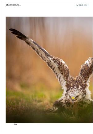 aftenbladet_pluss-20190413_000_00_00_050.pdf