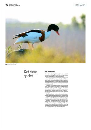 aftenbladet_pluss-20190504_000_00_00_022.pdf