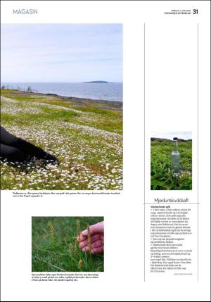 aftenbladet_pluss-20190601_000_00_00_031.pdf