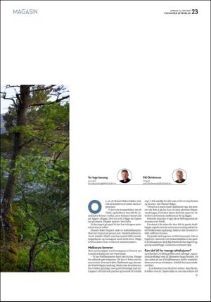 aftenbladet_pluss-20190615_000_00_00_023.pdf