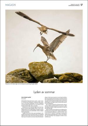 aftenbladet_pluss-20190622_000_00_00_017.pdf