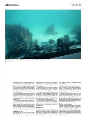 aftenbladet_pluss-20190622_000_00_00_024.pdf