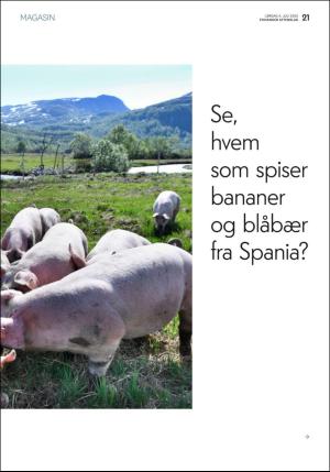 aftenbladet_pluss-20200704_000_00_00_021.pdf