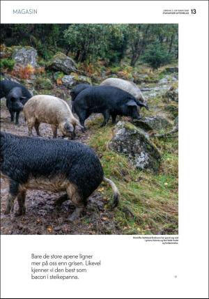 aftenbladet_pluss-20201003_000_00_00_013.pdf