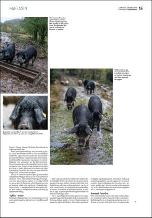 aftenbladet_pluss-20201003_000_00_00_015.pdf