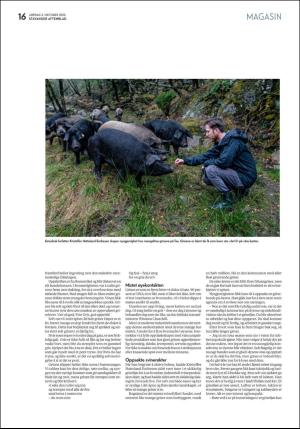 aftenbladet_pluss-20201003_000_00_00_016.pdf