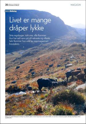 aftenbladet_pluss-20201024_000_00_00_020.pdf