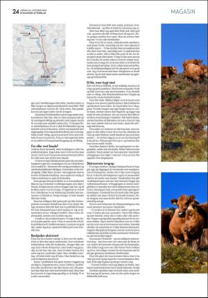 aftenbladet_pluss-20201024_000_00_00_024.pdf